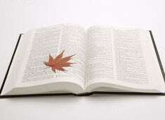 高分～ 破QQ相册密码办法 (qq相册密码破解器贴吧)